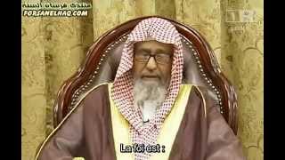 Cheikh al Fawzan  Définition de La Foi الإِيمَانُ [upl. by Melinde]