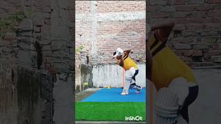 All drives shortvideo yt viralvideos viralshort viral cricket ytshorts videos shorts ipl [upl. by Ofloda462]