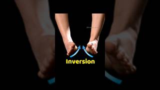 Inversion amp Eversion of foot  Lower limb Anatomy [upl. by Trefler]