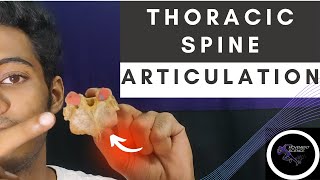 ARTICULATIONS AT THORACIC SPINEBIOMECHANICS OF SPINEPhysiotherapy Tutorial [upl. by Ennayar]