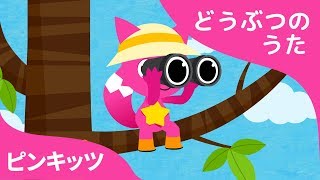 アフリカのサバンナ  どうぶつのうた  ピンキッツ童謡 [upl. by Aihsik]