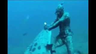 Giant Goliath Grouper Attacks Diver who is Spearfishing [upl. by Ahseekat]