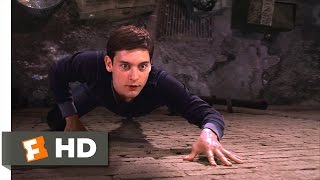 SpiderMan Movie 2002  Peters New Powers Scene 210  Movieclips [upl. by Benedic]