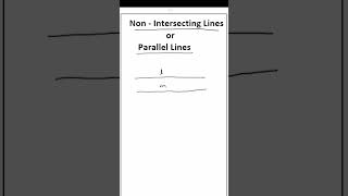 Nonintersecting lines  Parallel Lines  LINES AND ANGLES  CLASS 9  exam basicmath education [upl. by Balbinder]