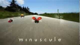 Minuscule  Spot TV [upl. by Htomit]