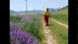 Fiorita del Piano Grande di Castelluccio di Norcia 2011 [upl. by Traggat750]