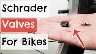 Schrader Valves for Bikes Explained [upl. by Llemej984]