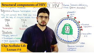 Structure of HIV  Human immunodeficiency virus [upl. by Bonner]