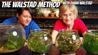 The Simplest Planted Aquarium With Diana Walstad [upl. by Annal]