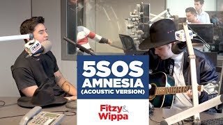 5SOS Amnesia Acoustic [upl. by Spatz738]