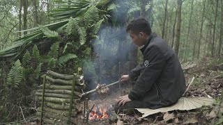 SOLO CAMPING SURVIVAL IN THE RAIN FOREST  RELAXING IN THE TENT WITH THE SATISFYING SOUND [upl. by Donalt]