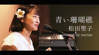 青い珊瑚礁松田聖子【歌ってみた】【昭和歌謡曲】nectarちゃんねる 푸른 산호초 노래해 보았다 [upl. by Lacim184]