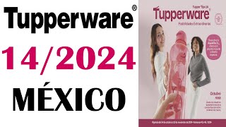 CATALOGO TUPPERWARE TUPPER TIPS 14  2024 MÉXICO [upl. by Xuagram]