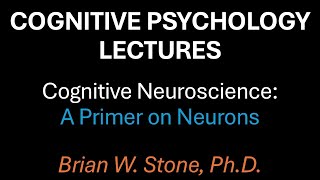 Cognitive Psychology  Cognitive Neuroscience Pt1  A Neuron Primer [upl. by Forester809]