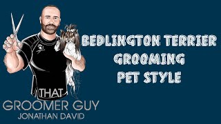 Bedlington Terrier Grooming  Pet Style [upl. by Rey]