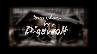 Snowshoes By Digawolf Official Music Video [upl. by Scrogan]