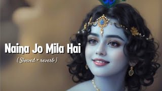 Naina jo mile sarkar se  Slowed  Reverb [upl. by Nehttam]