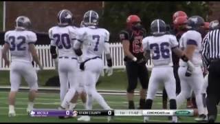 2015 IHSA Boys Football Class 1A Championship Game Arcola vs Toulon Stark County [upl. by Yekcaj323]