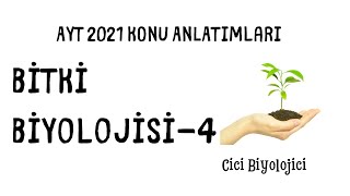 Bitki Biyolojisi 4 [upl. by Salina]