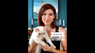 Removing Cat Tear Stains  A Tutorial Using the Eye Envy Kit [upl. by Atinuj]