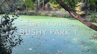 Bushy Park Part 1 SD 480p [upl. by Eterg]