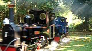 Exbury Gardens Railway Exmoor Army 1 [upl. by Abrahams]