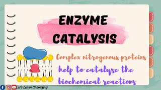 Enzyme catalysis class 11 Examples of enzyme catalysis chemistry [upl. by Meridith632]