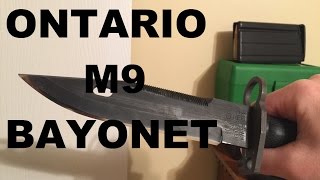 Ontario M9 Review [upl. by Yarised]