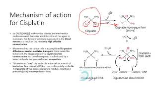 Anticancer agentsLecture 3video [upl. by Sllew649]