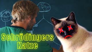 Schrödingers Katze  Vielen Welten Theorie [upl. by Sells]