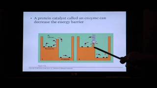 Biology Help Biology 123 Chapter 5 Energy and Metabolism [upl. by Homer966]