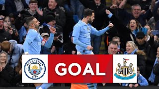 GOAL  Bernardo Silva  Manchester City 10 Newcastle United  Quarterfinal  Emirates FA Cup 2023 [upl. by Eal]