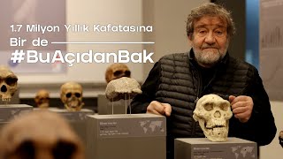 17 Milyon Yıllık Kafatasına Bir de BuAçıdanBak [upl. by Hoopes49]