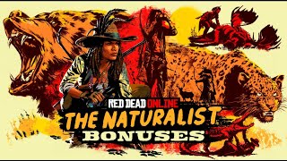 Red Dead Redemption 2 Naturalist Role Bonuses  Animal Samples Galore [upl. by Luapleahcim930]