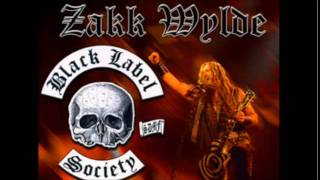 Black Label Society  Zakk Wylde  In This River Acoustic [upl. by Aicrop]