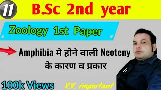 Amphibia मे होने वाली Neoteny के कारण Bsc 2nd year  Zoology 1st paper [upl. by Leina314]