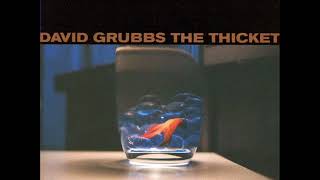 David Grubbs  The Thicket 1998  FULL ALBUM [upl. by Fausta]