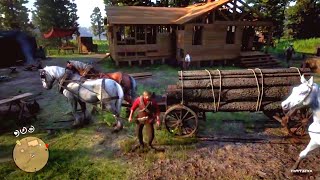 CASTORS RIDGE HOMESTEAD  RED DEAD REDEMPTION 2 GAMEPLAY [upl. by Aisiat]