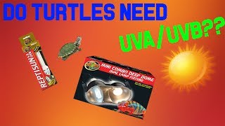 Do turtles really need UVAUVB BASKING [upl. by Nylrahs234]