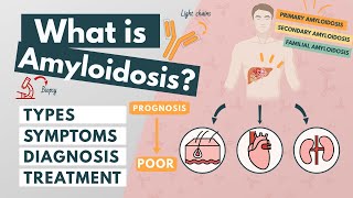 What is Amyloidosis  Symptoms Diagnosis Treatment  Visual explanation [upl. by Landrum239]