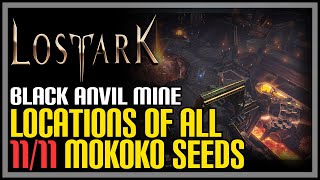 Black Anvil Mine All Mokoko Seeds Lost Ark [upl. by Asselem]