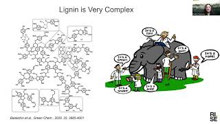 Lignin from idea to market  possibilities and challenges [upl. by Devinna]