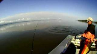 03  Sturgeon Fishing on Todd Dielmans Guides in Astoria Oregon [upl. by Aserej589]