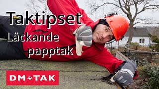 Taktipset  Läckande papptak [upl. by Doowron667]