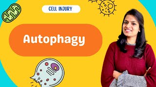 Autophagy  Types mechanism and clinical importance [upl. by Nnyl]