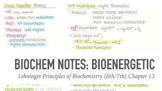 1001 Notes 📒 Ch 13 Bioenergetic 📝 Lehninger Principles of Biochemistry 6th7th Notes [upl. by Seligman]