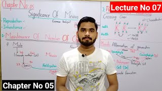 Significance Of Meiosis Class 9 In Urdu Hindi  Production Of Variations  Lec 07  Ch 05 [upl. by Seymour]