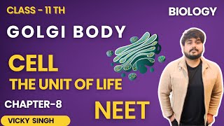 Golgi Body  Cell The Unit Of Life Class 11 Chapter8 Biology NCERT For NEET amp CBSE [upl. by Akcirred]