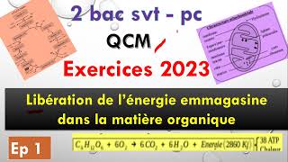 2 bac pc svt exercice 2023 ep 1 libération de lénergie emmagasinée dans la matière organique [upl. by Helsell164]