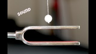 Experiment on sound  Physics [upl. by Siraf]